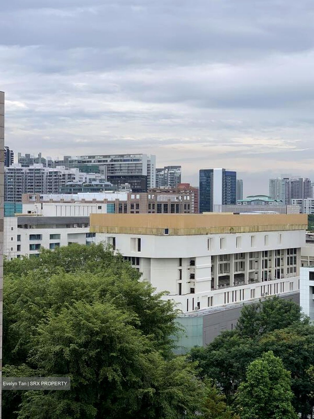 One Oxley Rise (D9), Apartment #509961641